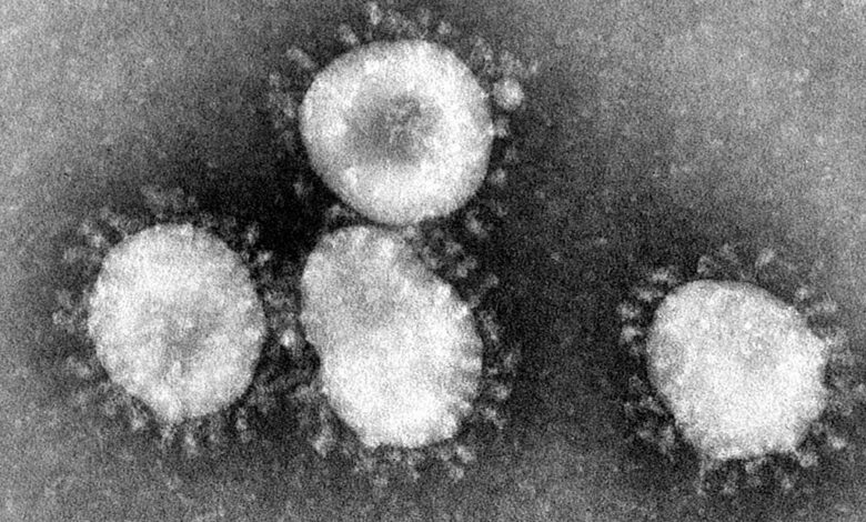 Coronavirus symptoms of the disease treatment
