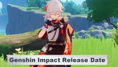 Genshin Impact Reveals Version 4.8 Release Date 4 Genshin Impact 1.6 Release Date ? Genshin's other game