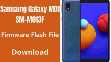 Samsung Galaxy M01 SM-M013F Firmware Flash File (Stock Rom)