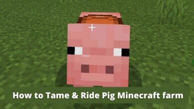How to Tame & Ride Pig Minecraft farm