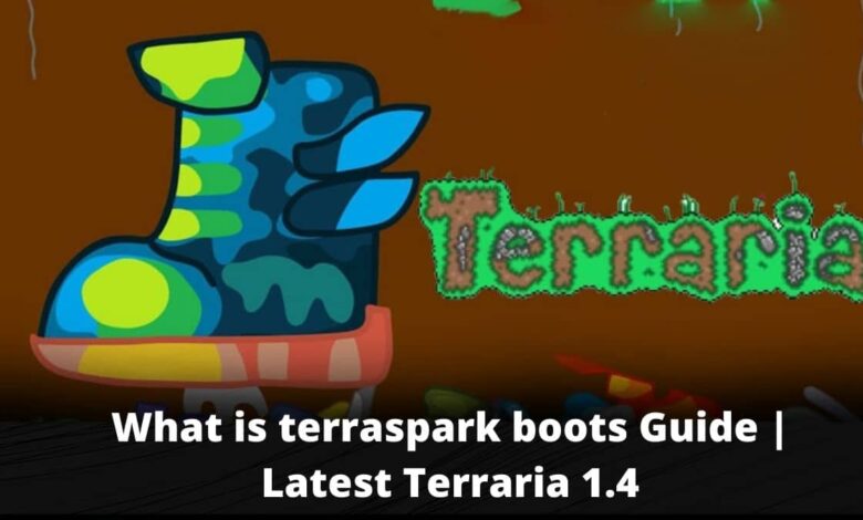 What is terraspark boots Guide