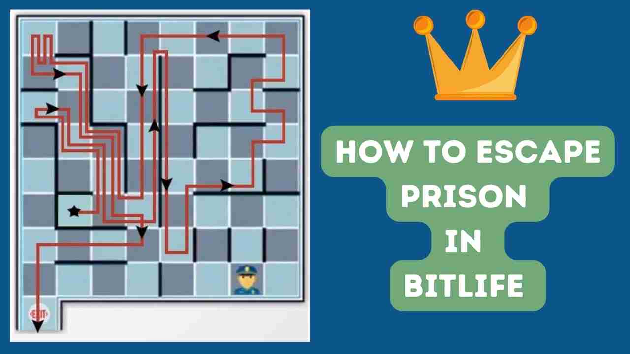 how to escape prison in bitlife 6x6bit｜TikTok Search