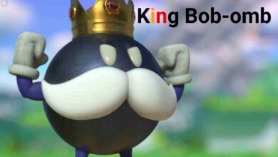King Bob omb: The Mighty Boss of Super Mario 64 2 King Bob-omb