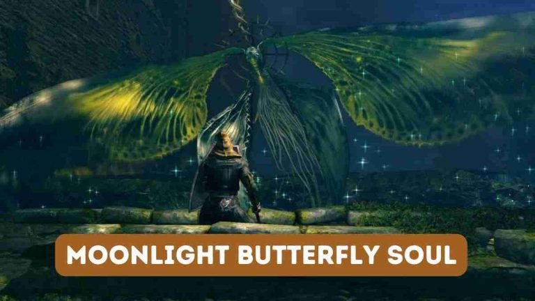 Moonlight Butterfly Soul