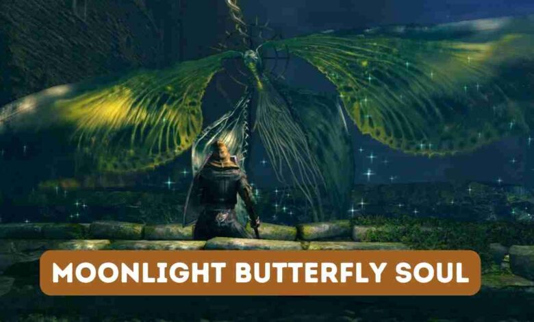 Moonlight Butterfly Soul
