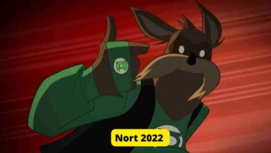 Nort 2025 Color me tickled pink! It's the Skylander 6 Nort 2022 Color me tickled pink! It's the Skylander