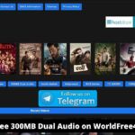 World4uFree 300MB Dual Audio on WorldFree4u It illegal Site