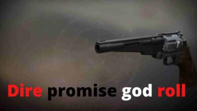 Dire Promise God Roll: Ultimate Guide 2 Dire promise god roll