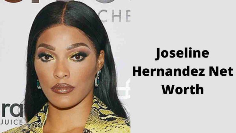 Joseline Hernandez Net Worth