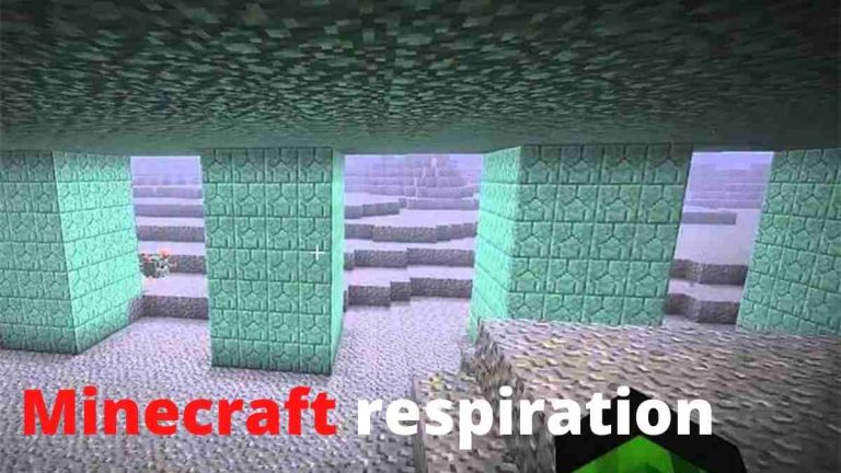 Minecraft respiration