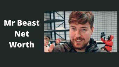 Mr Beast Net Worth