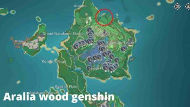 Aralia Wood Genshin: Discover Aralia Wood Locations in Genshin 4 aralia wood genshin