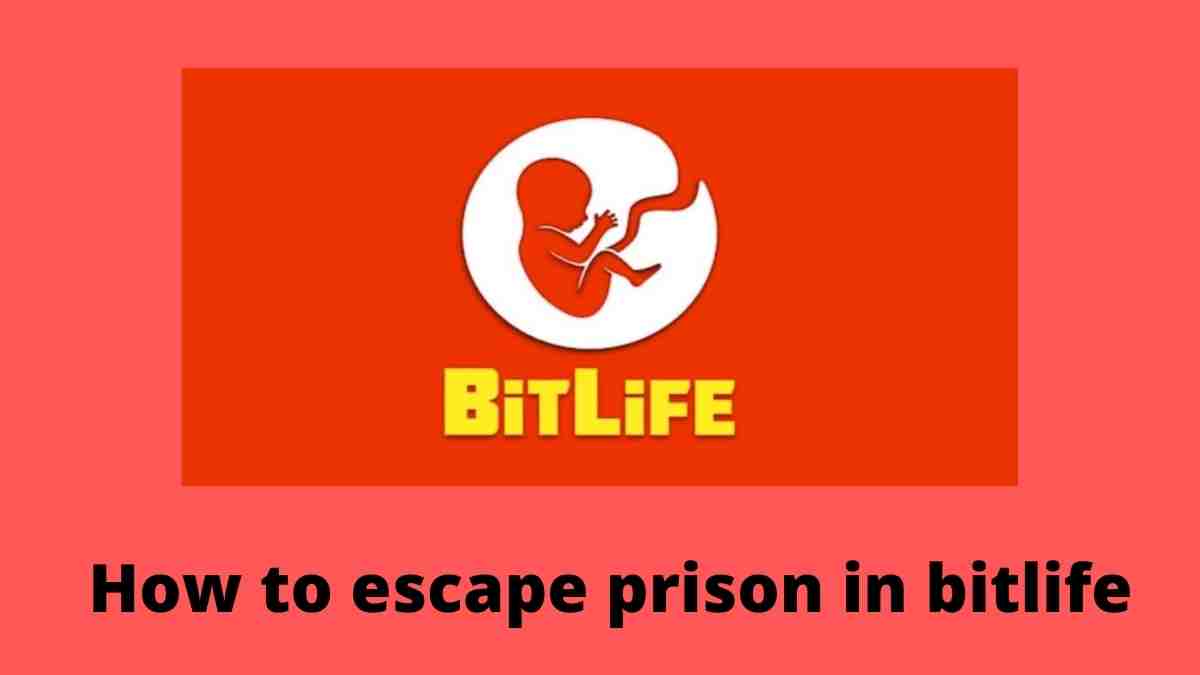 How to escape prison in Bitlife 2023? - infrexa
