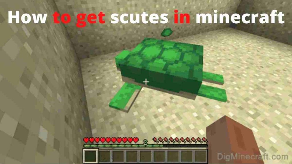 how to get scutes in minecraft