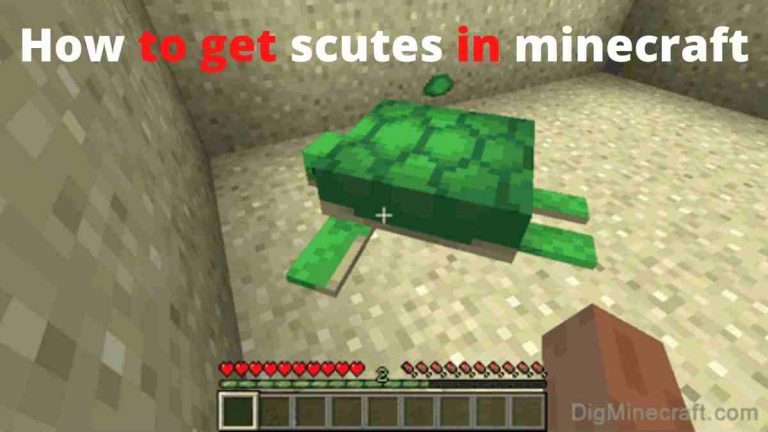 how to get scutes in minecraft