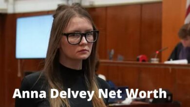 Anna Delvey Net Worth