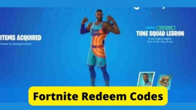 Fortnite Redeem Codes (July 2025): Get Complete List 2 Fortnite Redeem Codes