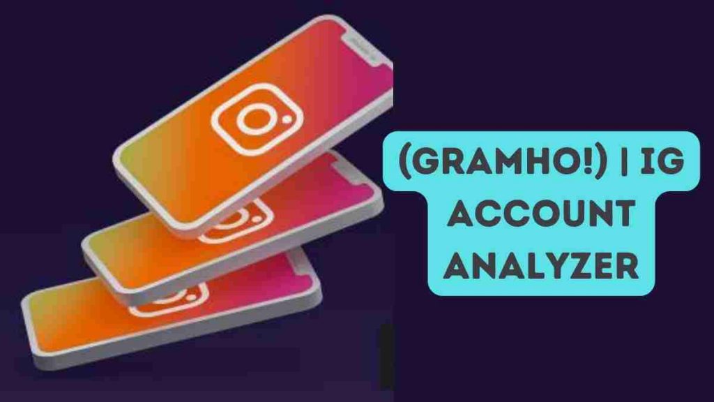 (Gramho!) | IG Account Analyzer (June 2022) granho