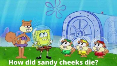 How did sandy cheeks die