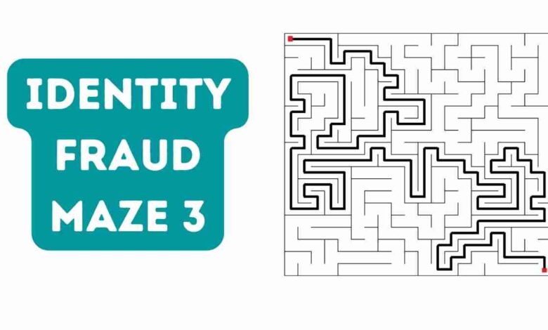 Identity Fraud Maze 3
