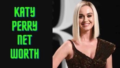 Katy Perry Net Worth