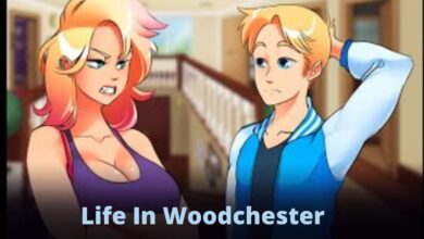 Life In Woodchester
