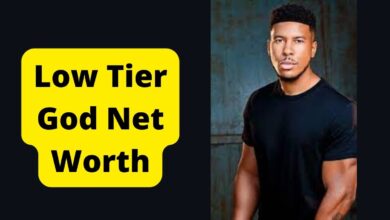 Low Tier God Net Worth