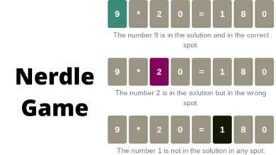 Nerdle Game