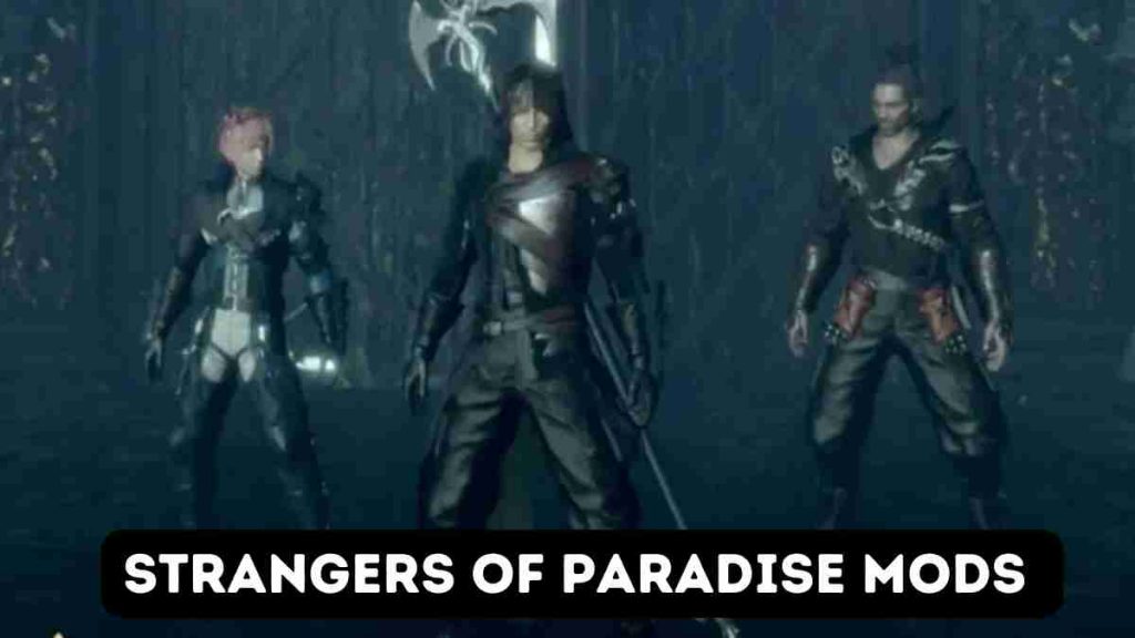New Games Update Strangers of Paradise Mods