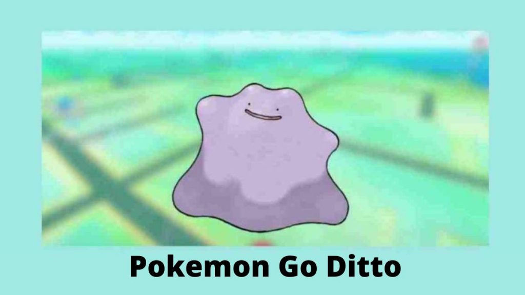 Pokemon Go Ditto