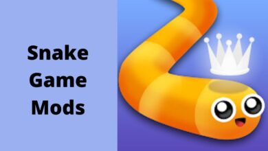 Snake Game Mods