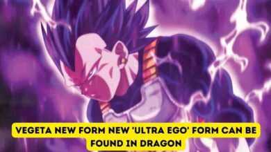 Vegeta new form New 'Ultra Ego' Form Can Be Found in Dragon Ball Super