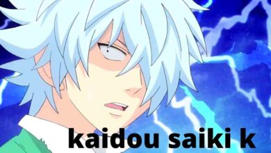 kaidou saiki k