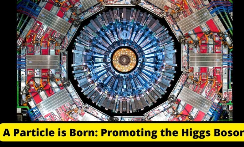 A Particle is Born: Promoting the Higgs Boson