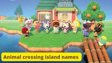 Animal crossing island names