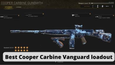 Best Cooper Carbine Vanguard loadout
