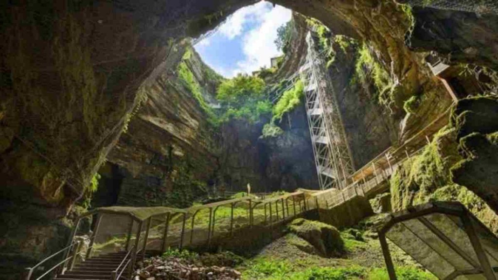The forest cave locations: Get All Cave Locations in the Forest 5 The forest cave locations