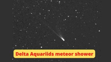 Delta Aquariids meteor shower 2025: How to see step wise 5 Delta Aquariids meteor shower
