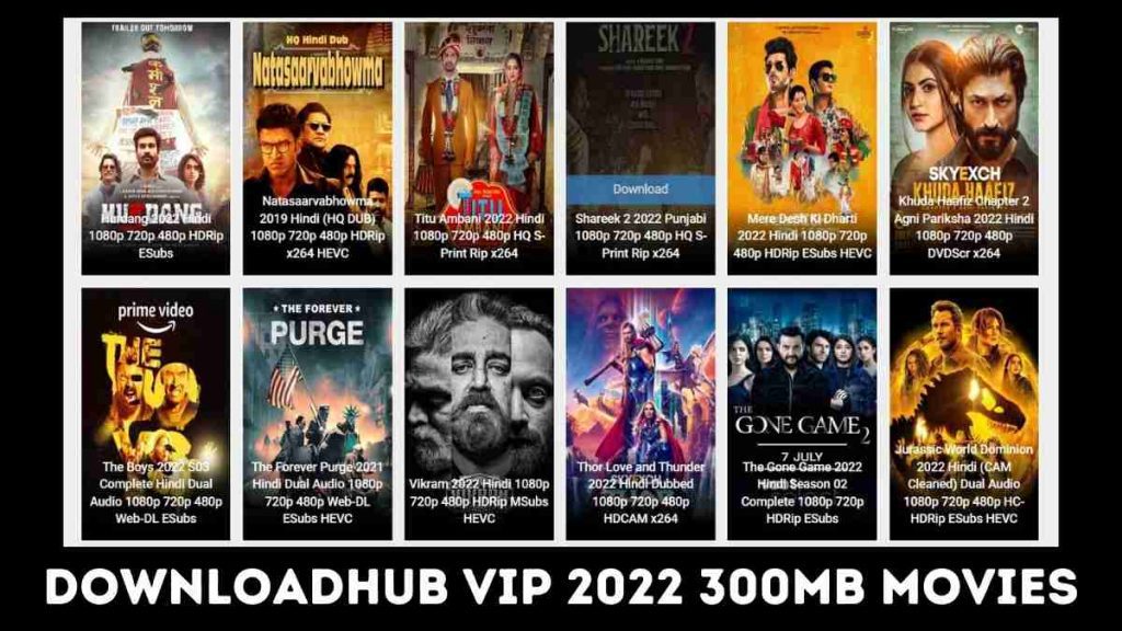 Downloadhub VIP 2022 300mb Movies Bollywood Download
