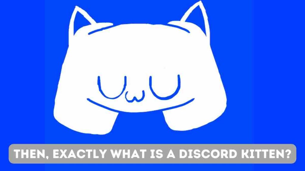 Then, Exactly What Is a Discord Kitten? (July 2022) 