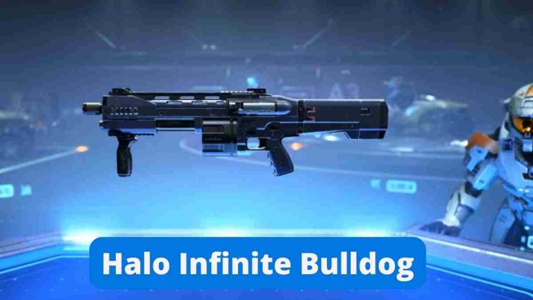 Halo Infinite Bulldog