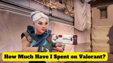 How Much Have I Spent on Valorant? 2025 1 How Much Have I Spent on Valorant?