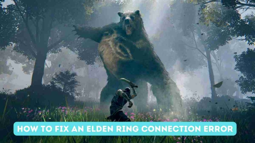 How to Fix an Elden Ring Connection Error 2023