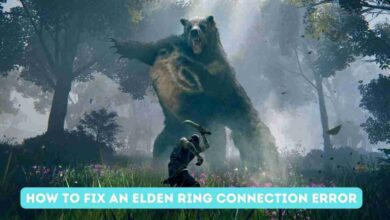 How to Fix an Elden Ring Connection Error August 2024 2 Elden Ring Connection Error