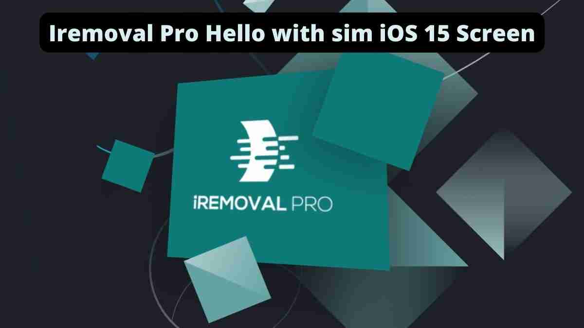 Iremoval Pro v6.0 Hello with sim iOS 16 Screen With Signal