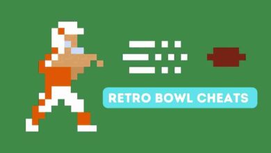 Retro bowl cheats Codes