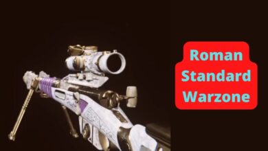 Roman Standard Warzone