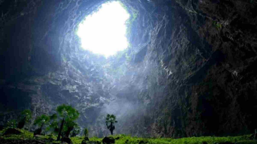 The forest cave locations: Get All Cave Locations in the Forest 6 The forest cave locations