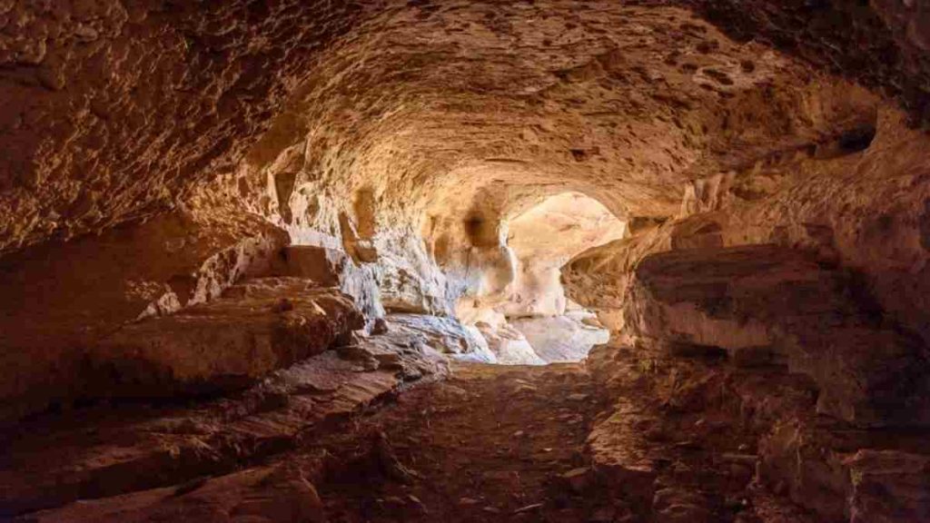 The forest cave locations: Get All Cave Locations in the Forest 13 The forest cave locations: Get All Cave Locations in the Forest