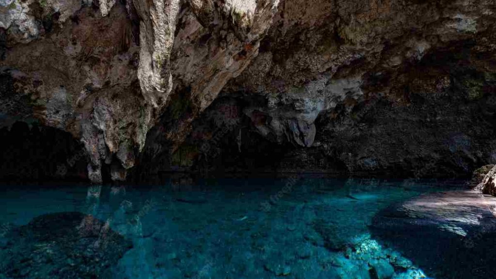 The forest cave locations: Get All Cave Locations in the Forest 3 The forest cave locations